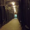 Shiraz z Bhutanu, musujące z Anglii