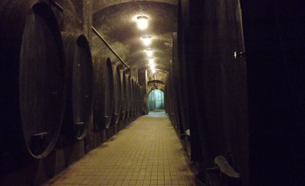 Shiraz z Bhutanu, musujące z Anglii