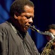 Wayne Shorter brawurowo poprowadził swój kwartet podczas występu na Torwarze