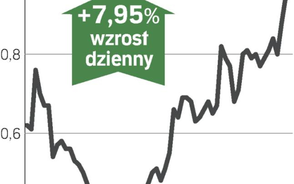 Wizja przejęcia rozgrzała inwestorów