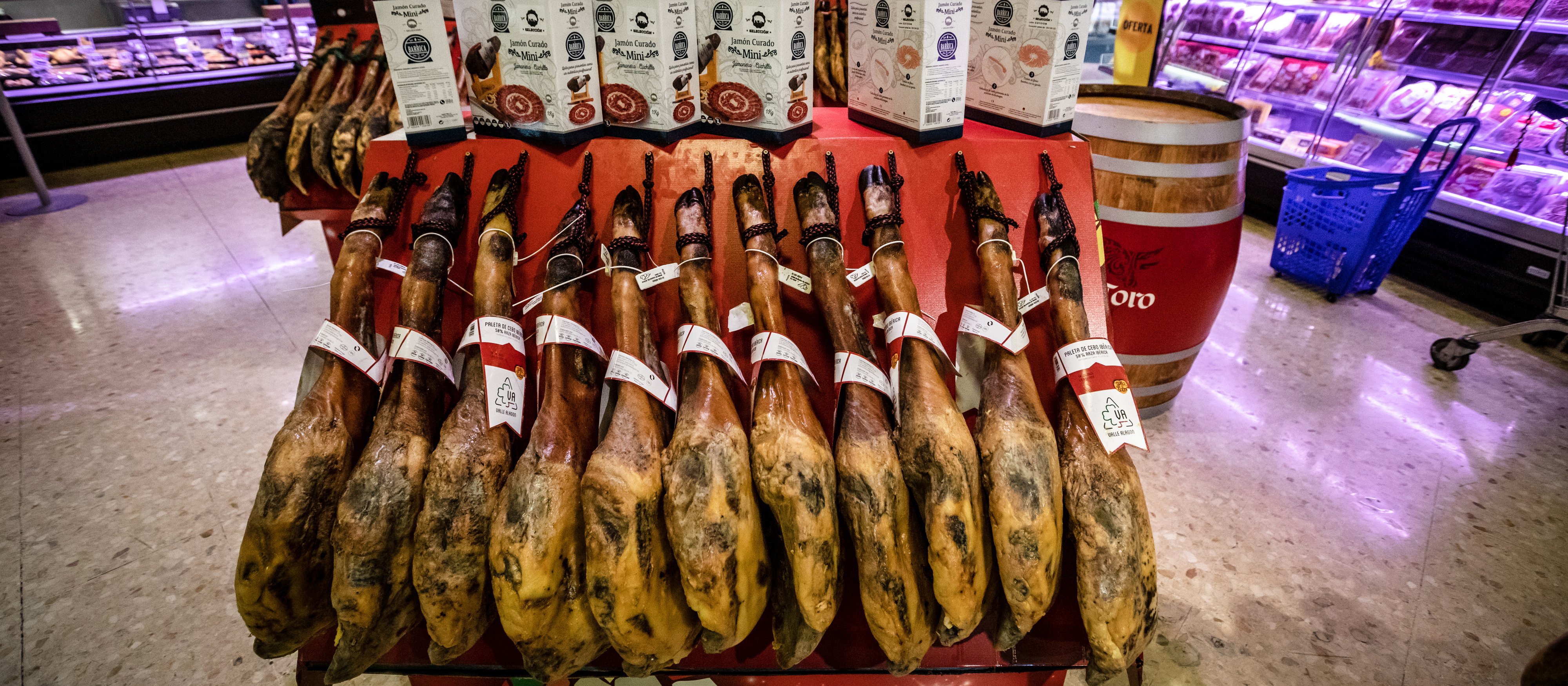 ASF pod Barceloną. Hiszpańskie wojsko walczy z groźnym wirusem