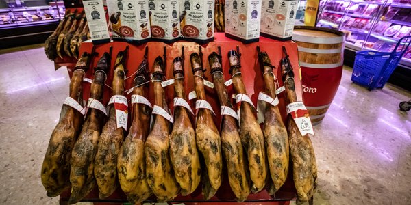 ASF pod Barceloną. Hiszpańskie wojsko walczy z groźnym wirusem