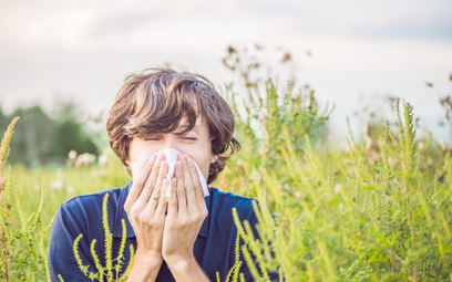 Letnie kłopoty alergików