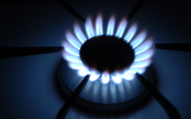 PiS chce rozłożyć podwyżki cen za gaz na raty