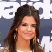 Pink kontra Selena Gomez. Spór na Twitterze o różowe konie