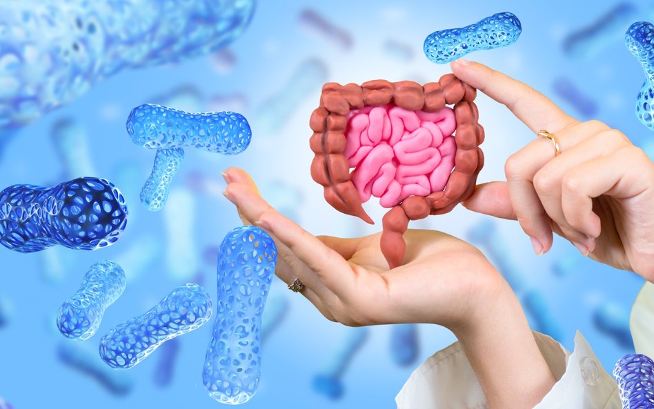 Nowe badanie pokazało, że poprawa równowagi bakterii w jelitach może spowolnić aktywność raka prosta