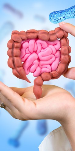 Nowe badanie pokazało, że poprawa równowagi bakterii w jelitach może spowolnić aktywność raka prosta