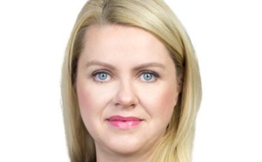 Anna Krysiak, Kancelaria prof. Wierzbowski i Partnerzy