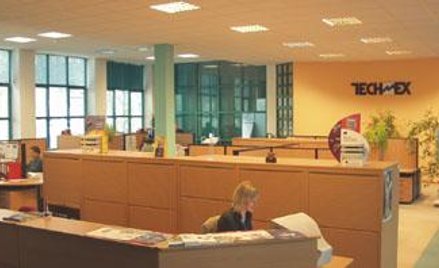 Techmex: Kurator pomoże syndykowi