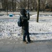 Zimowe ptakoliczenie w Łazienkach